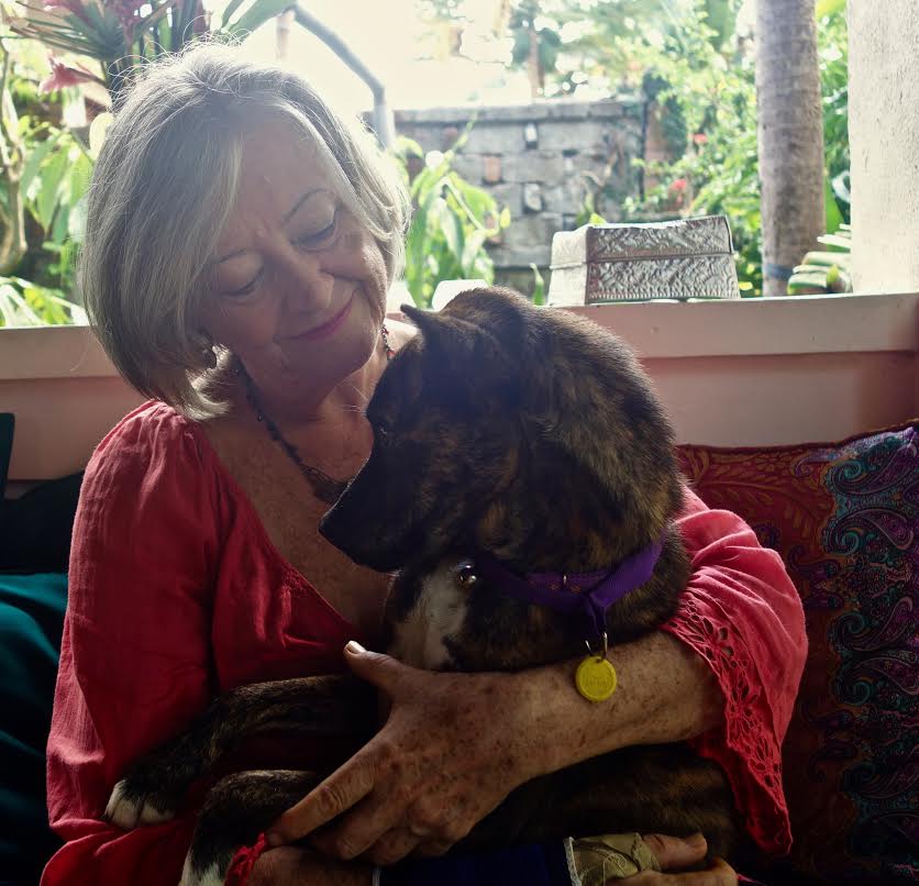 The Last Bali Heritage Dog – Cat Wheeler Bali